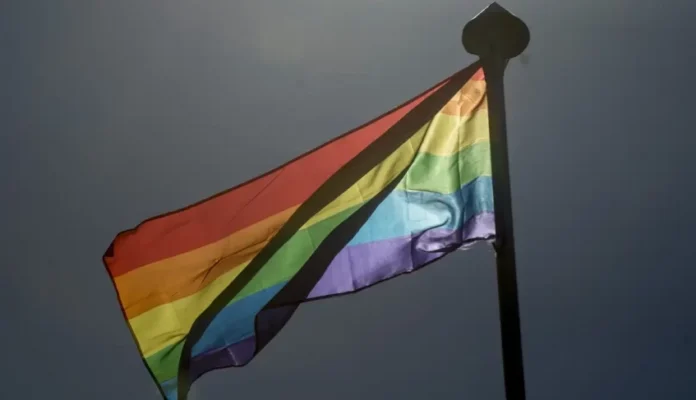 Escolaridade maior, alterações na rotina pelo preconceito e relatos de violência: conheça o perfil do LGBT+