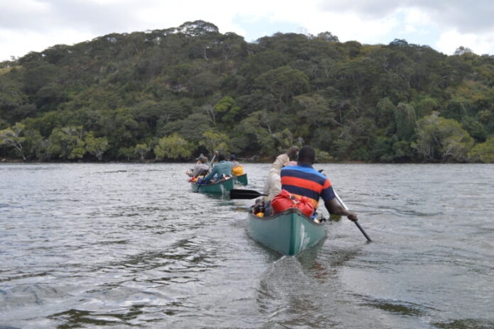 De gado a lagostins, as pressões humanas montam no rio Kafue da Zâmbia
