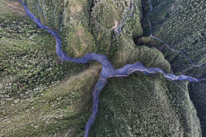 Empatia e ecologia espiritual são uma solução de conservação e 'cura radical'
