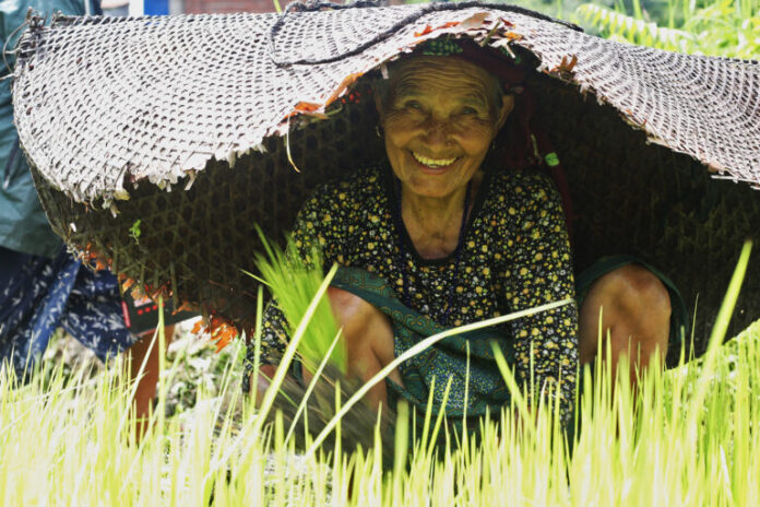 O conhecimento indígena e a agroecologia devem estar no centro da transformação do sistema alimentar (comentário)
