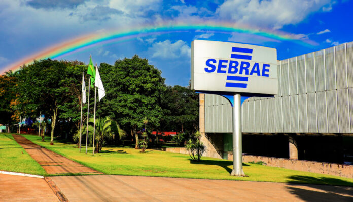Sebrae comemora 53 anos de história de apoio aos pequenos negócios