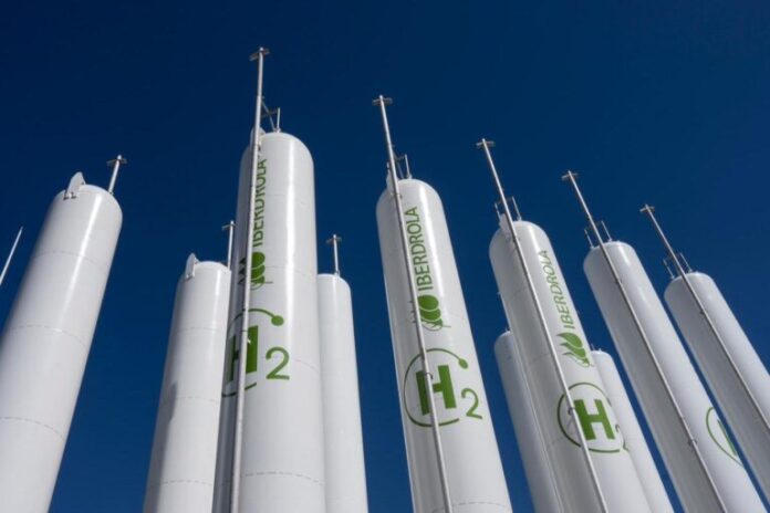 Os habitantes locais temem o novo projeto portuário do Chile para a energia verde, atrapalhará os ecossistemas
