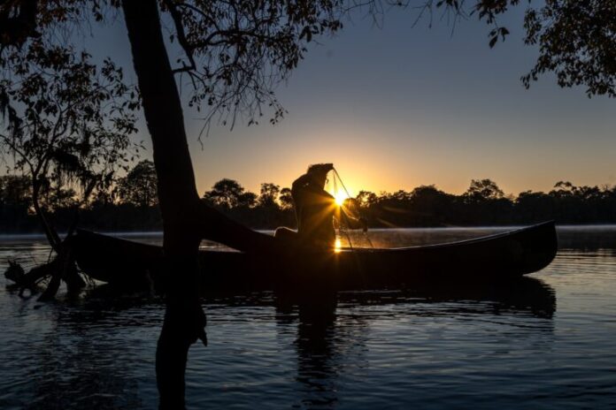 Os destaques do derramamento de mineração precisam proteger o vital rio Kafue da Zâmbia e seus peixes
